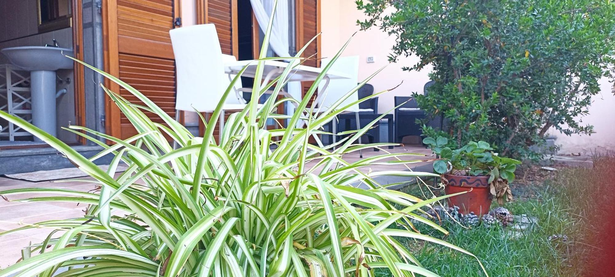 Appartamento Casa Lilla 1 E 2 Oristano Esterno foto